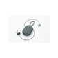 surf ears 4.0 : black sage